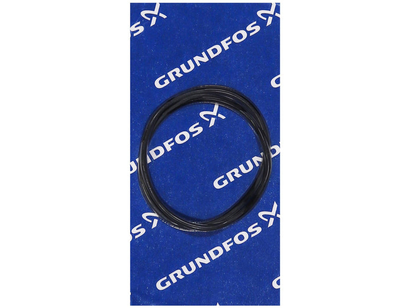 Grundfos 97757693, O-ring EPDM 129.5x3