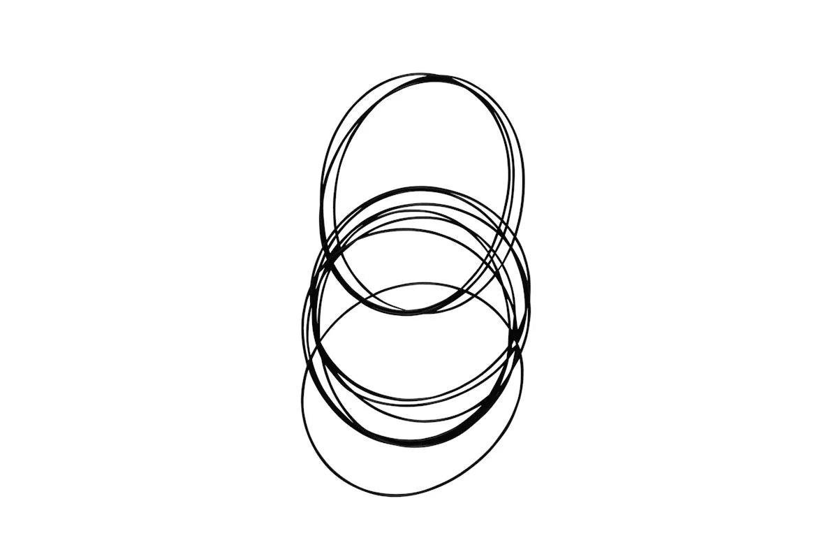Grundfos 97770276, Bulk Pack O-Ring for Multiple Pieces