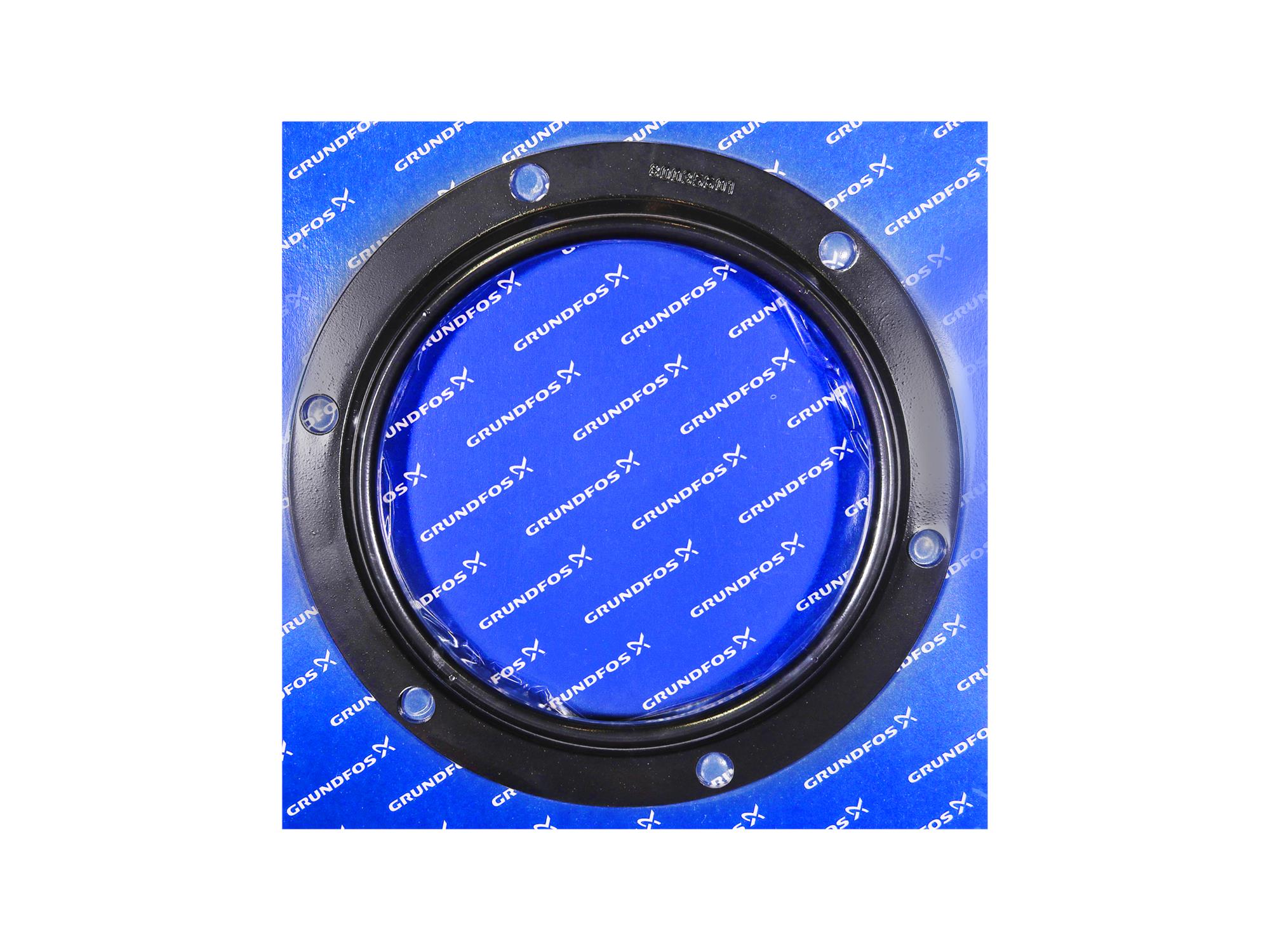 Grundfos 98332154, Guide Shoe Gasket Kit DN250 96068328