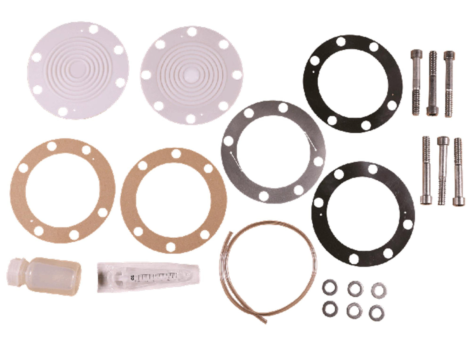 Grundfos 98736904, Diaphragm Kit for DLD DMH254/286