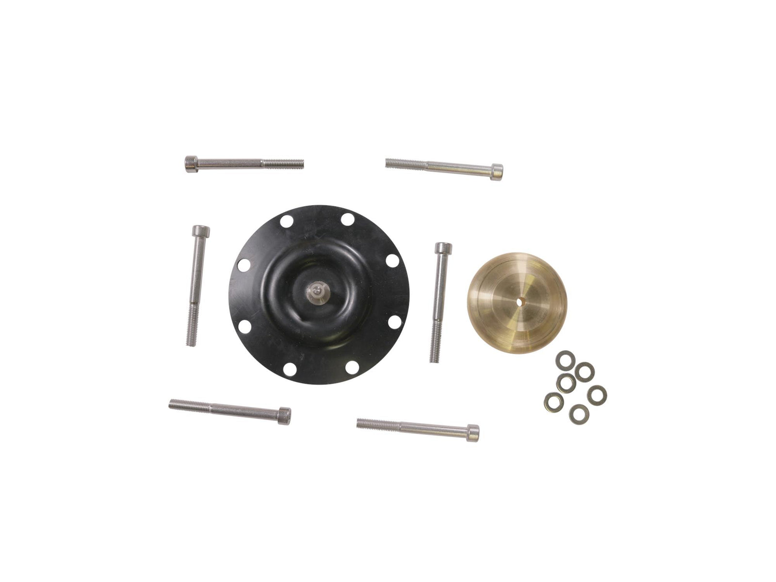 Grundfos 98922729, Diaphragm Kit DMX226-460 PTFE