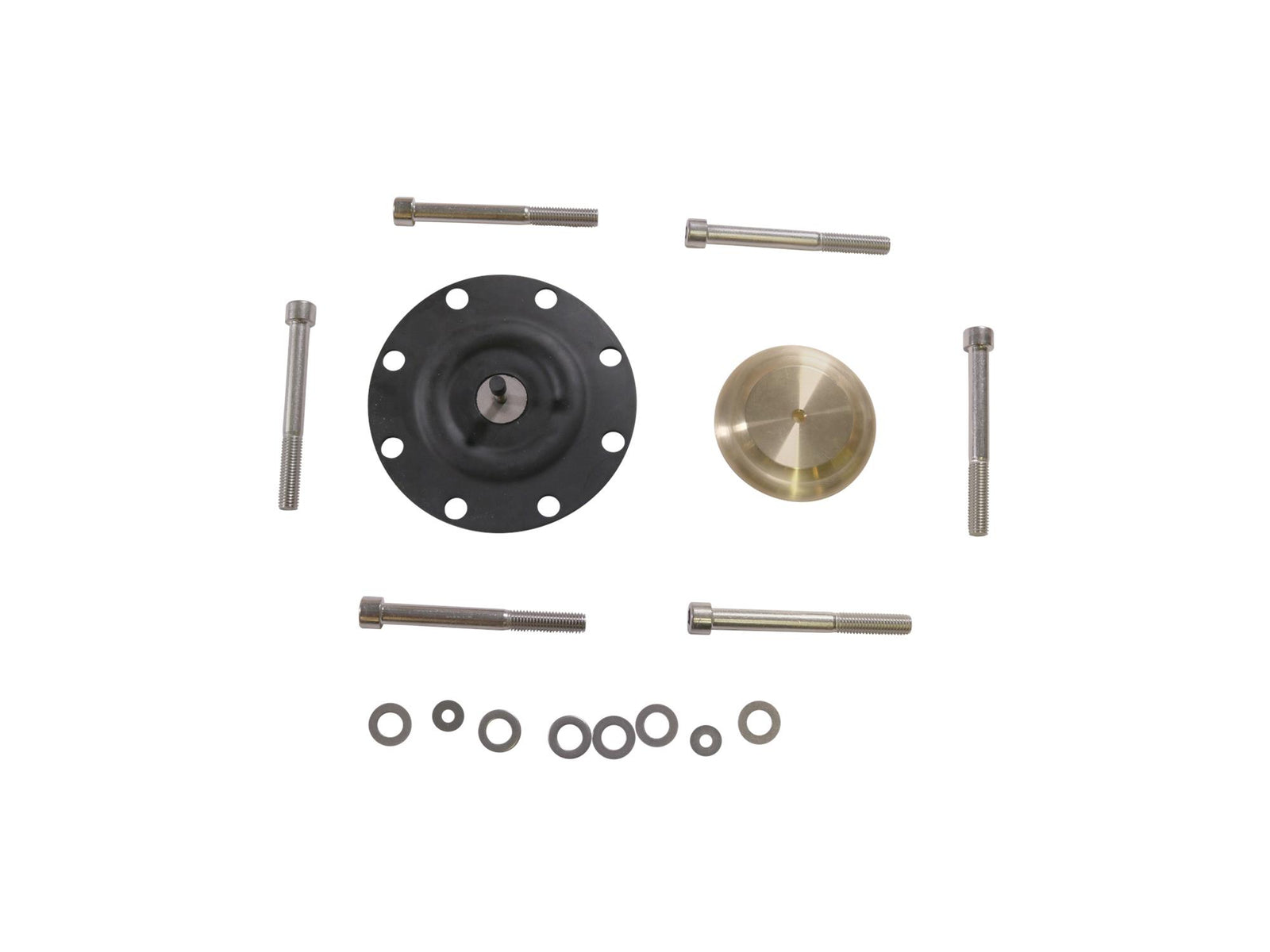 Grundfos 98922730, Diaphragm Kit PTFE DMX226-765