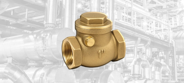 Johnson Controls Check Valves