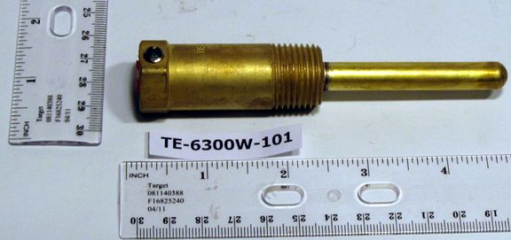 Johnson Controls TE-6300W-101 Brass Thermowell, 6"