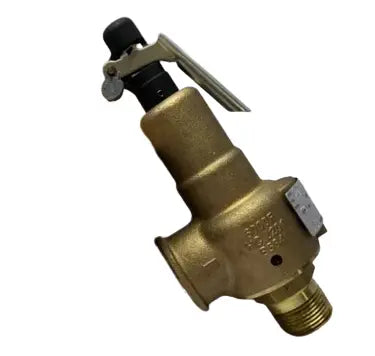 Kunkle 6021EDT01AAM0100, 3/4x1 100# Steam Relief Valve