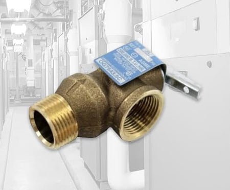 Laars Relief Valves