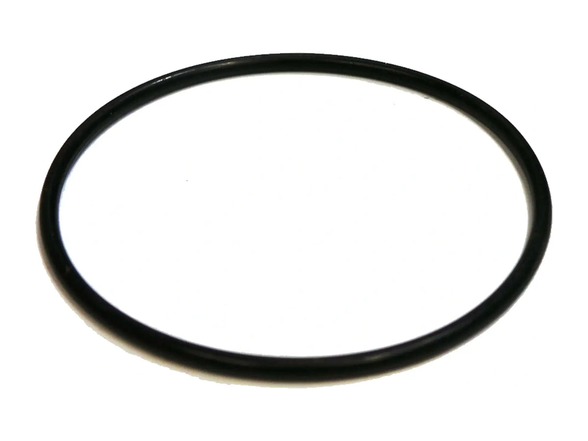 Laars 10-226, O-Ring Replacement Part