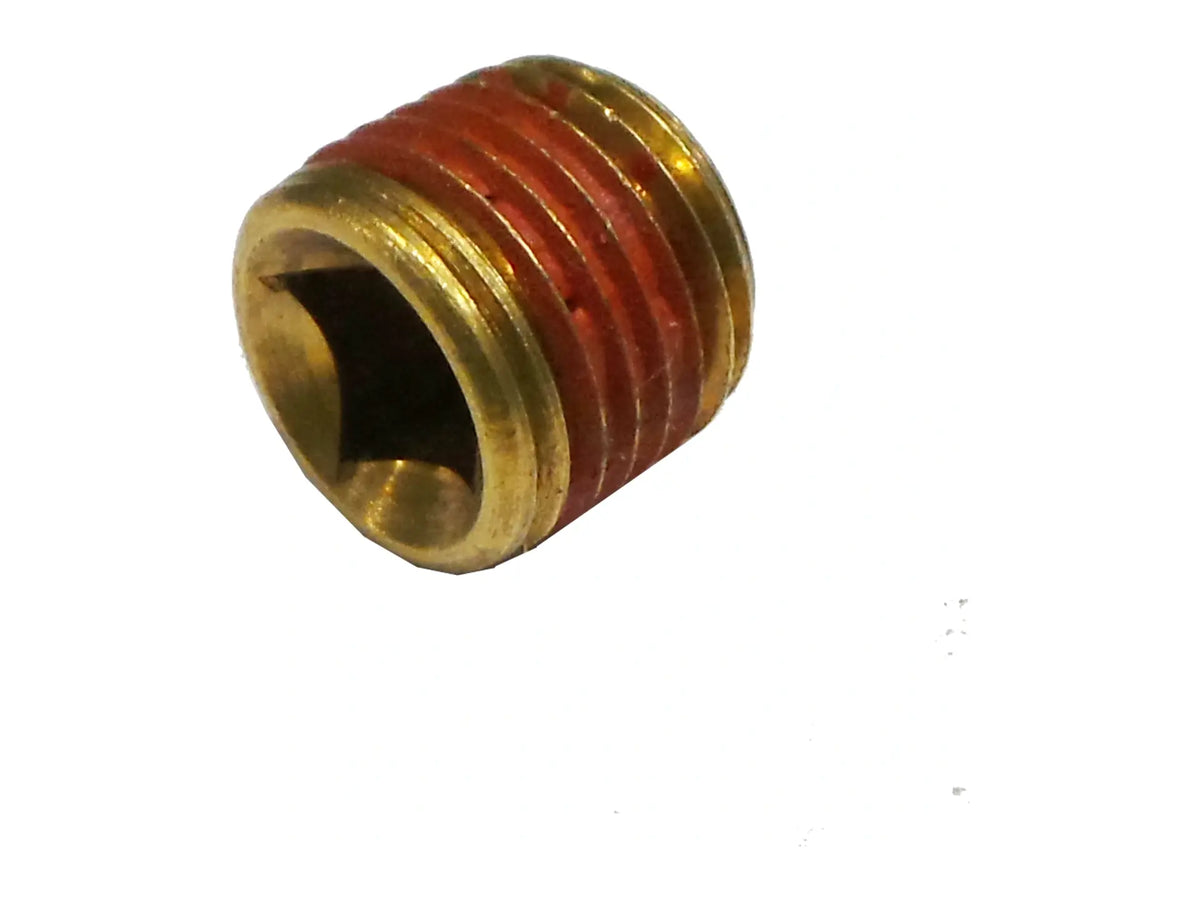 Laars P0026800, 1/4" NPT Pipe Plug