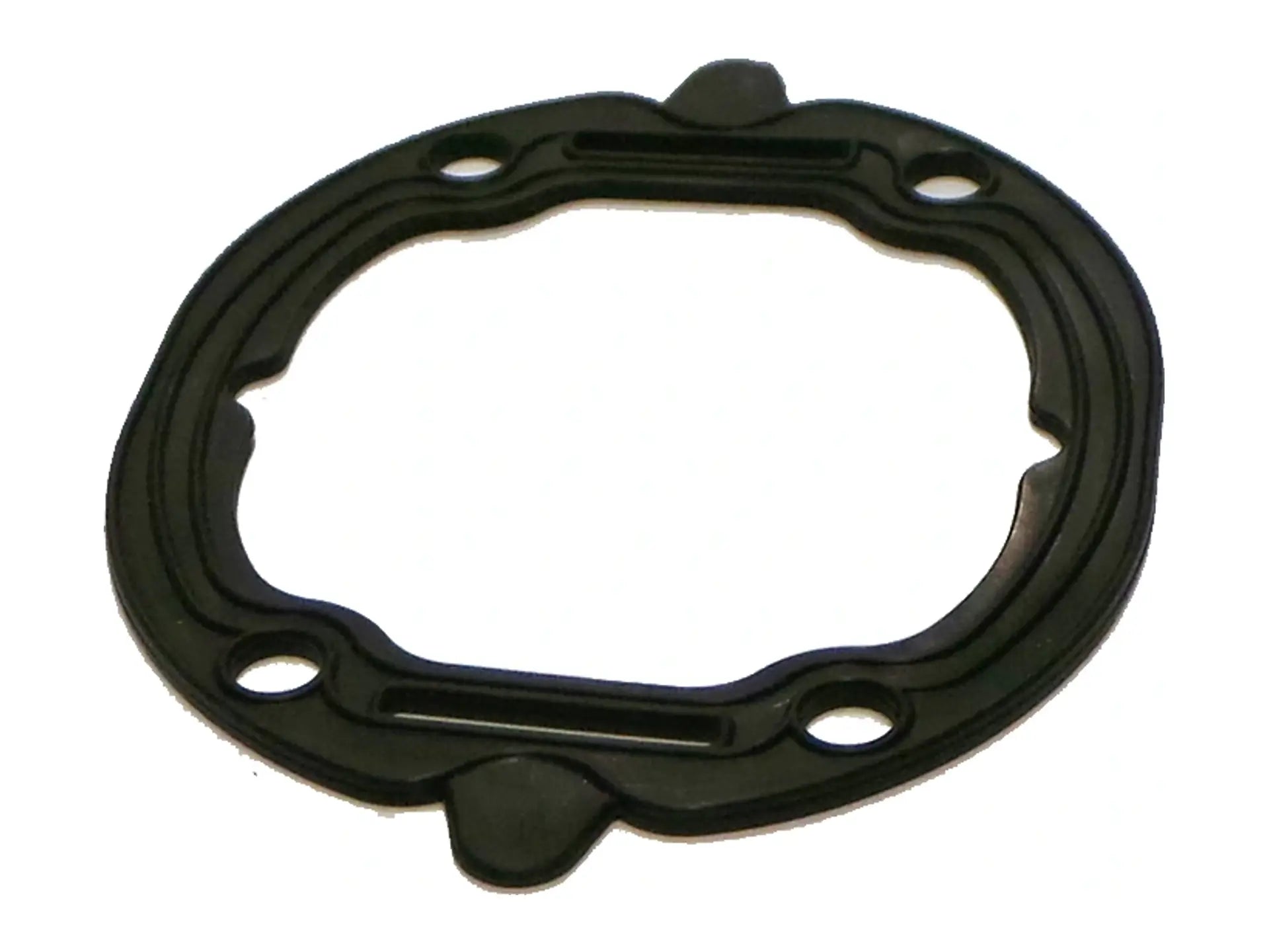 Laars S2116800, Fan and Flange Gasket Replacement Part