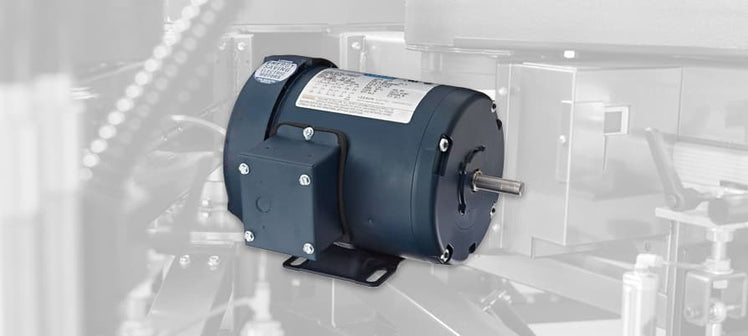 leeson-general-ac-motors.jpg