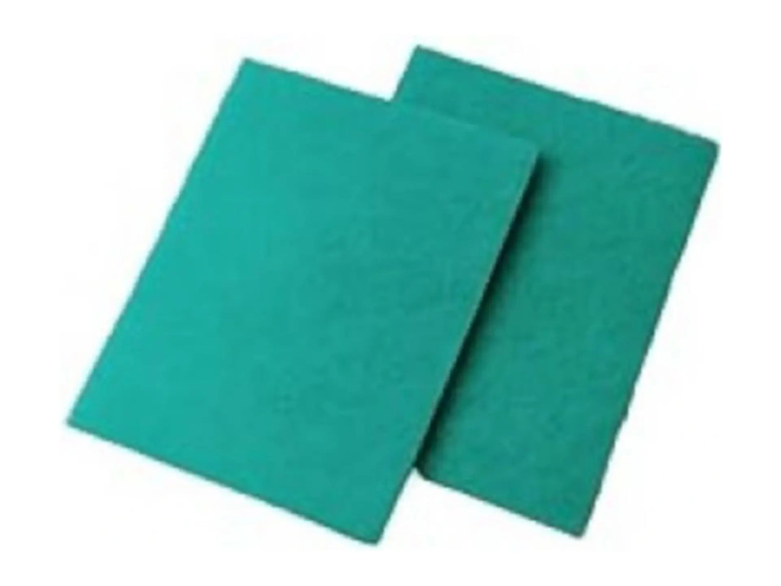 Lennox Y2162 Foam Filter (2-Pack)