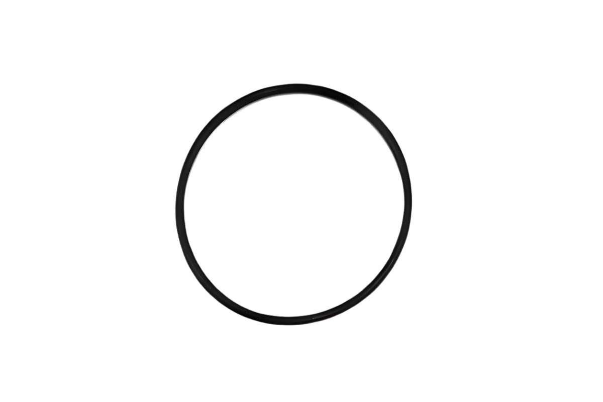 Liebert 180750P1, O-Ring Replacement Part