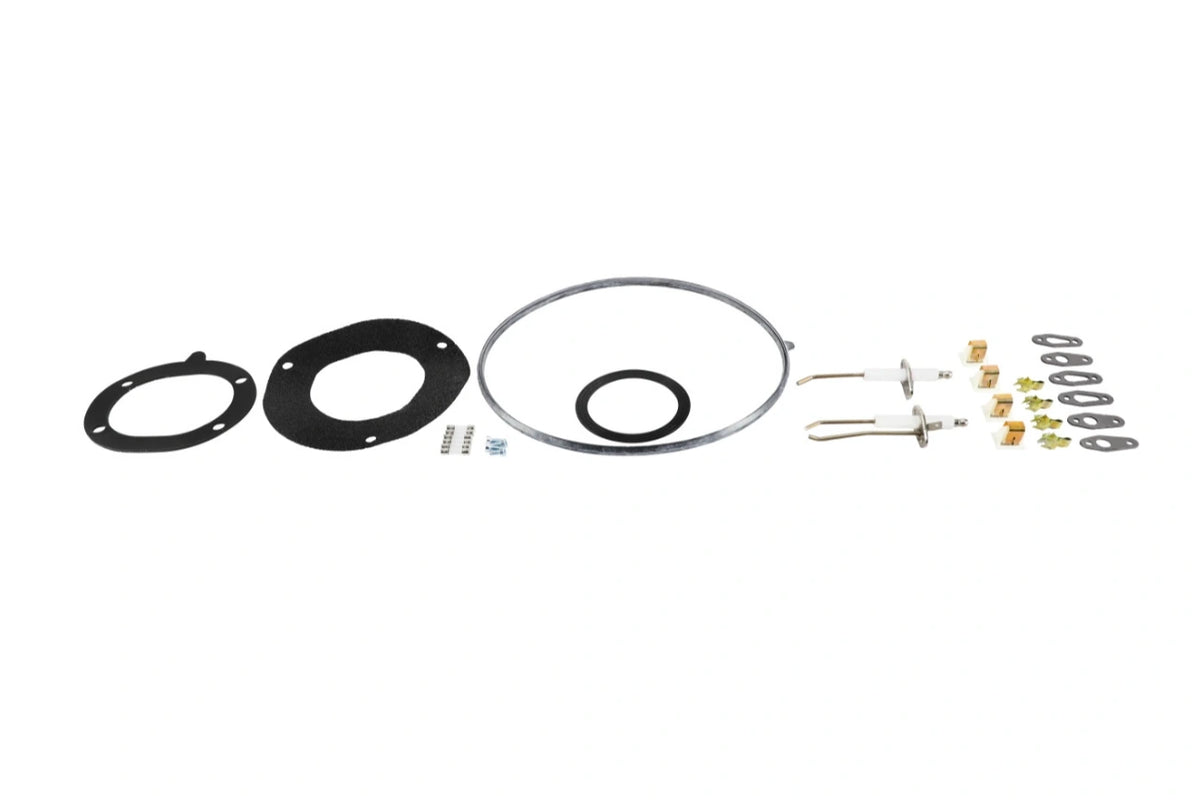 Lochinvar 100320884 Essential Service Kit