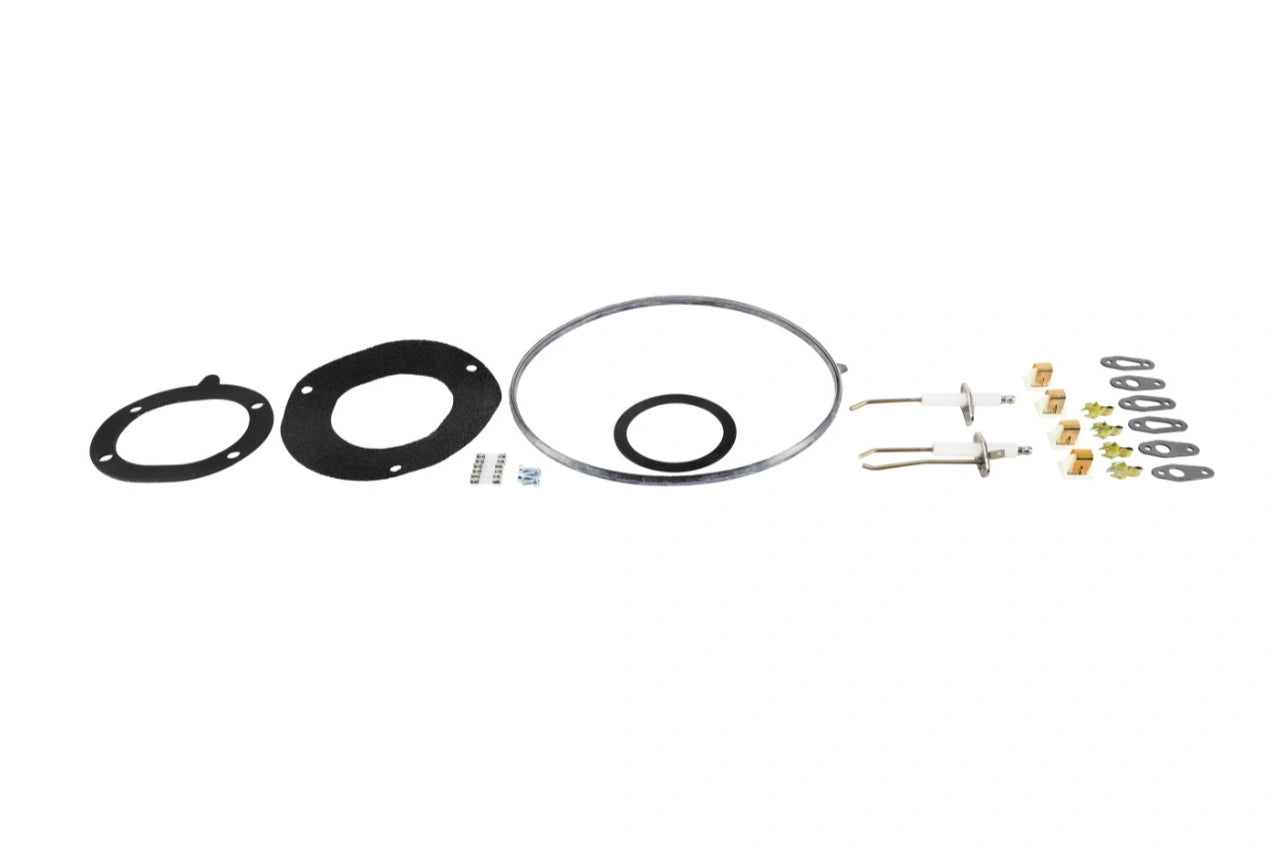 Lochinvar 100320884 Essential Service Kit