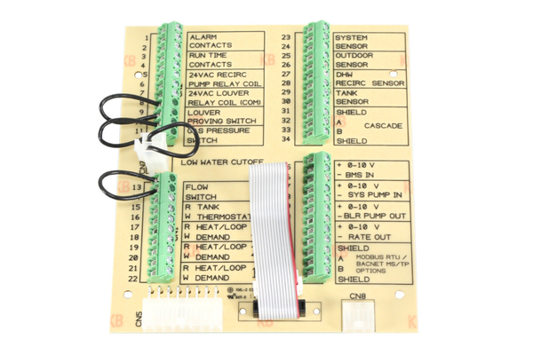 Lochinvar 100351933 Control Board