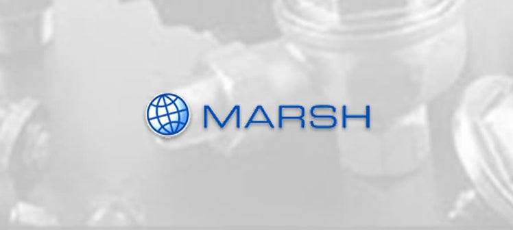 marsh-marketing-thumbnail.jpg