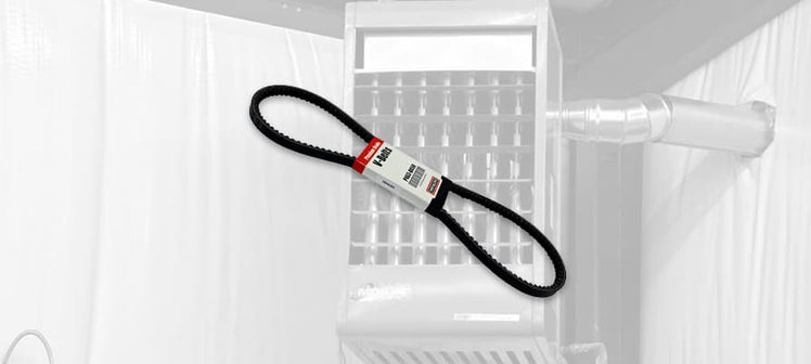 modine-belts.jpg