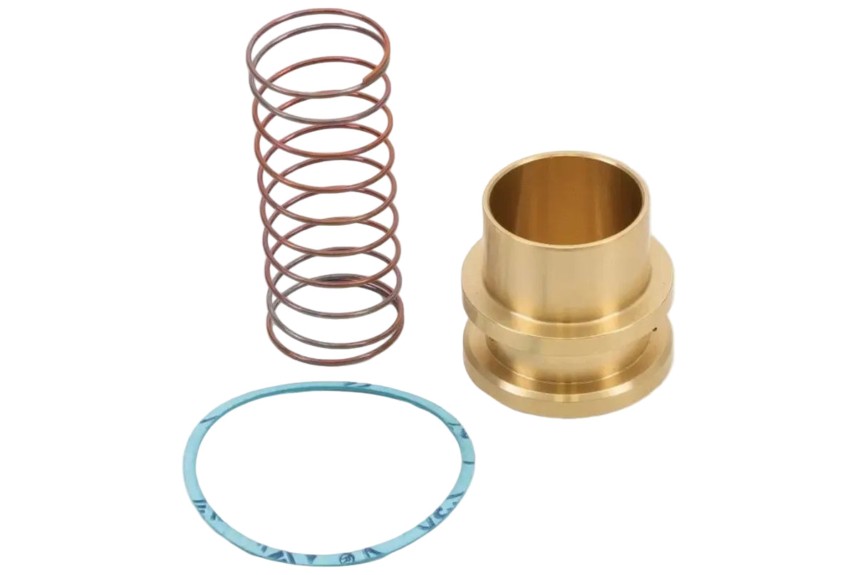 Mueller Industries A17987 1-5/8" 4-Bolt Check Valve Rebuild Kit