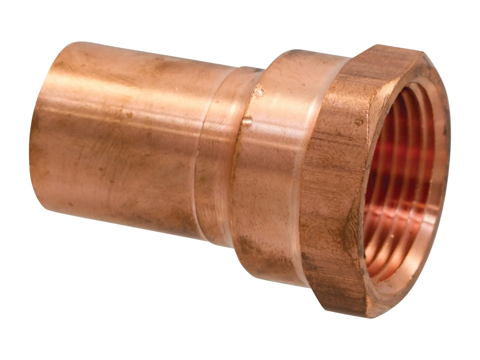 NIBCO 9028555PC, 3/4 in. x 3/4 in. Extended Adapter FTG x F, Wrot Copper PC603-2