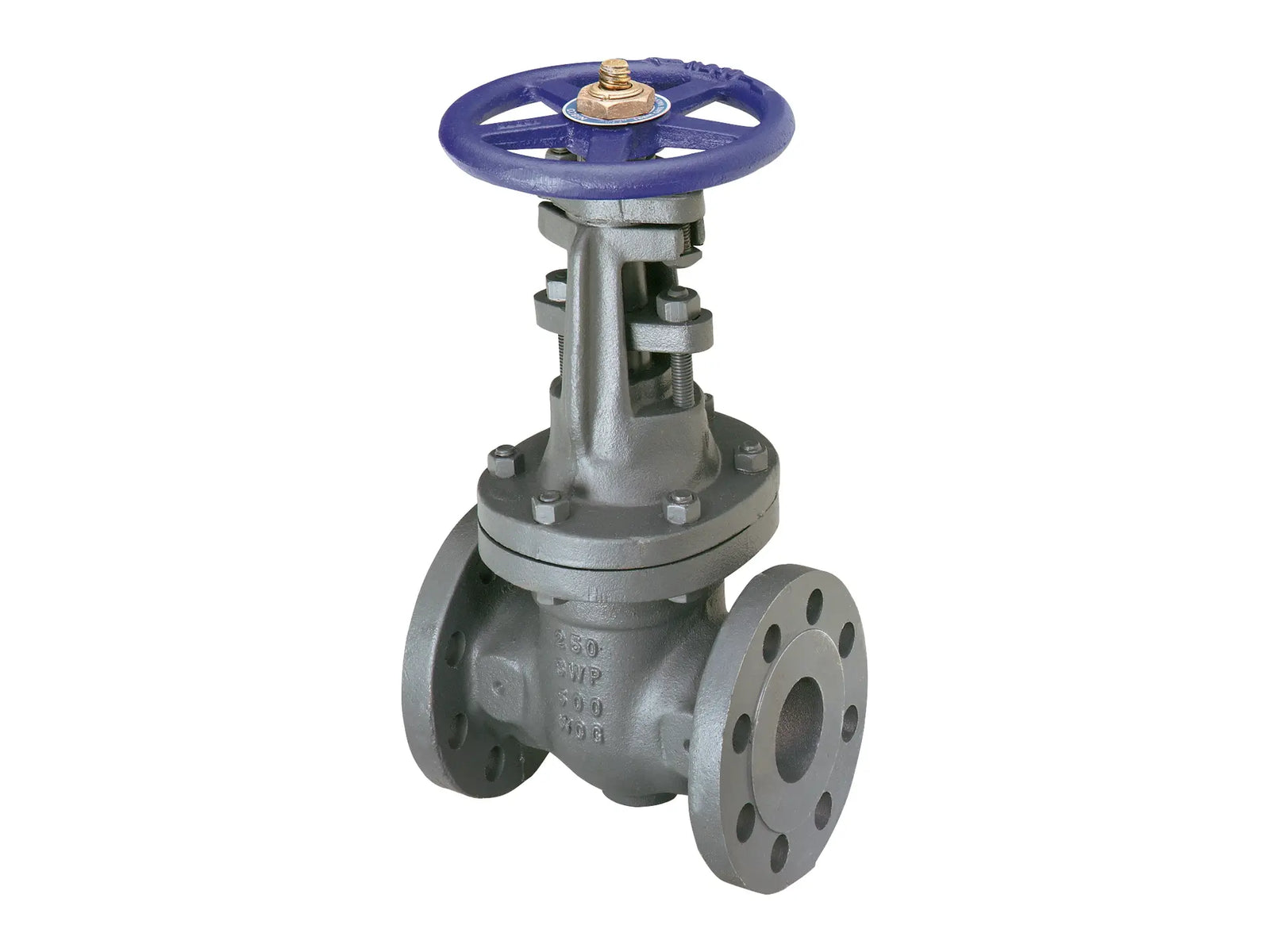 NIBCO NHAW00F, 3 in. Gate Valve Class 250, Cast Iron, Outside Screw and Yoke, Flanged F-667-O