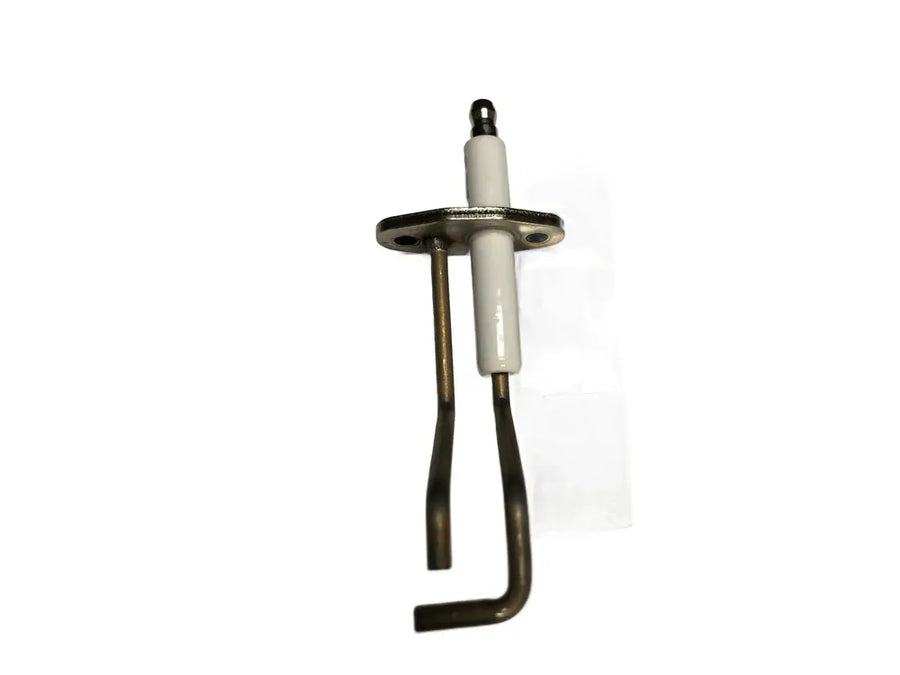 NTI 6008473801, Igniter Flame Sensor Combo