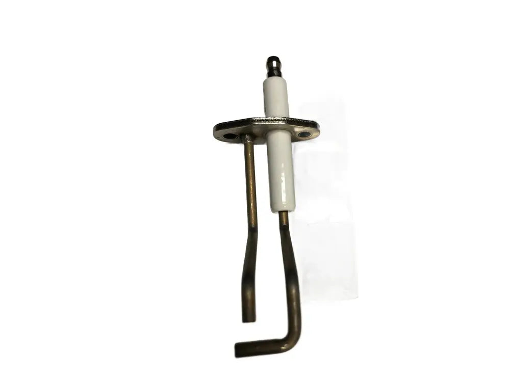 NTI 6008473801, Igniter Flame Sensor Combo