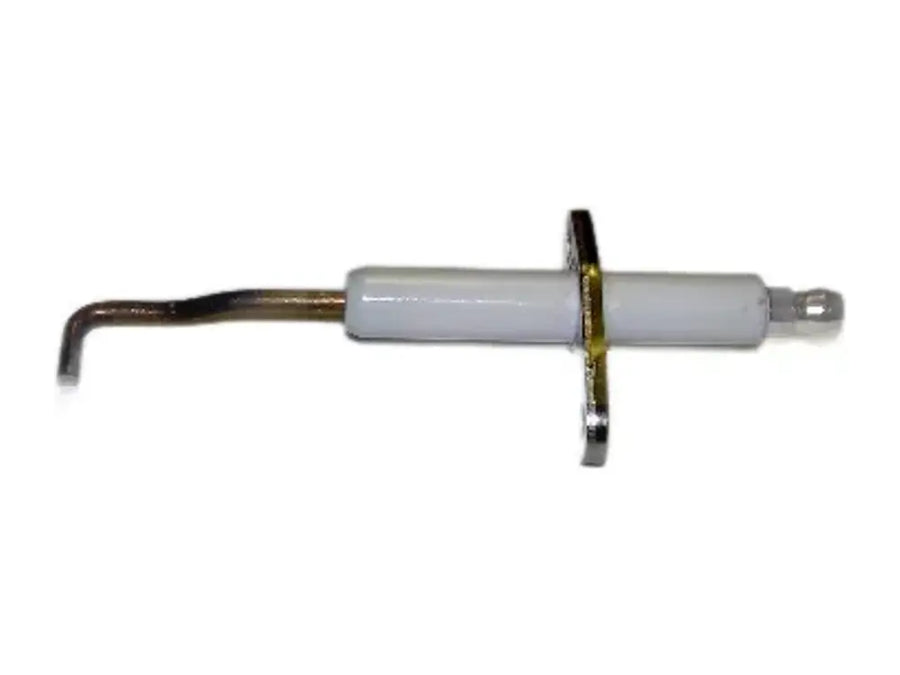NTI 6008581901, Ftv Ionization Electrode C W