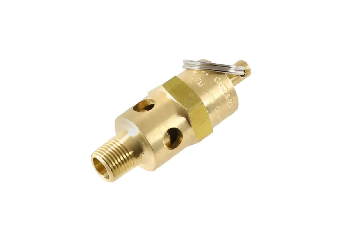 Quincy Compressor 111089-100, Relief Valve 012P 100PSI CNA