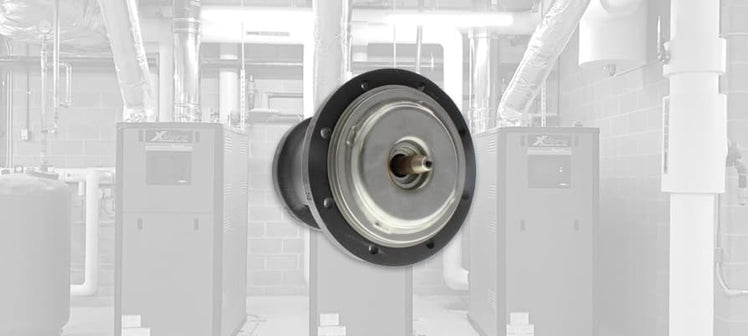 raypak-bearings.jpg