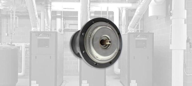 Raypak Bearings