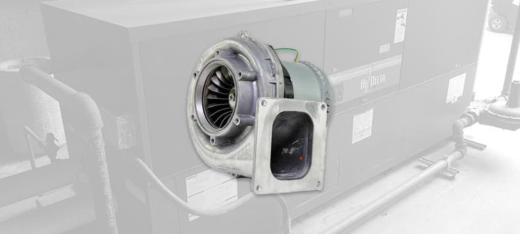 raypak-blowers.jpg