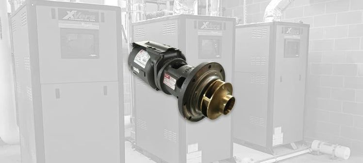 raypak-circulator-pumps.jpg