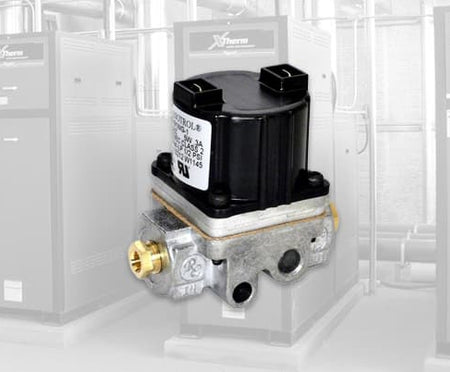 Raypak Gas Valves