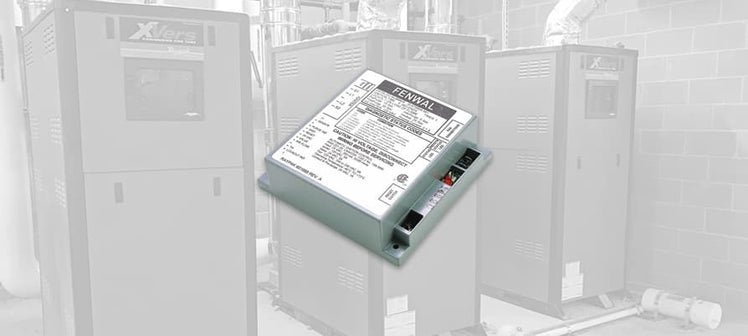 raypak-ignition-flame-components.jpg