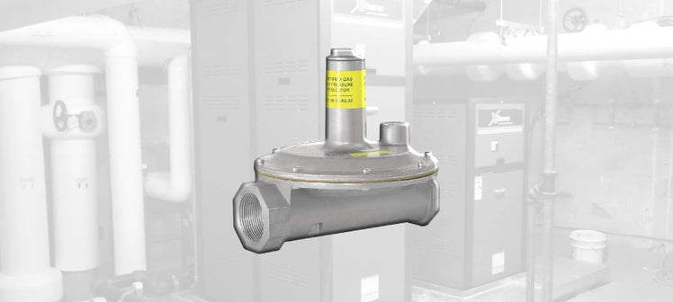 raypak-pressure-regulators-gas.webp