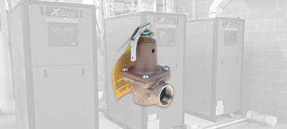 Raypak Relief Valves