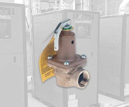 Raypak Relief Valves