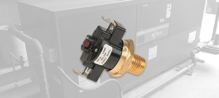 raypak-switches.jpg