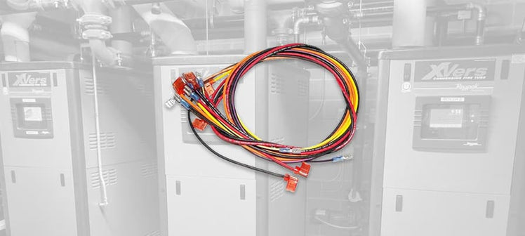 raypak-wiring-harnesses.jpg