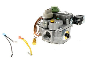 Raypak 006505F, 3/4 Inch Natural Gas Modulating Valve
