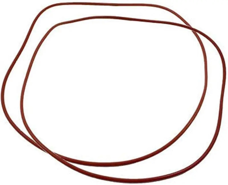 Raypak 006713F O Ring Gasket Kit