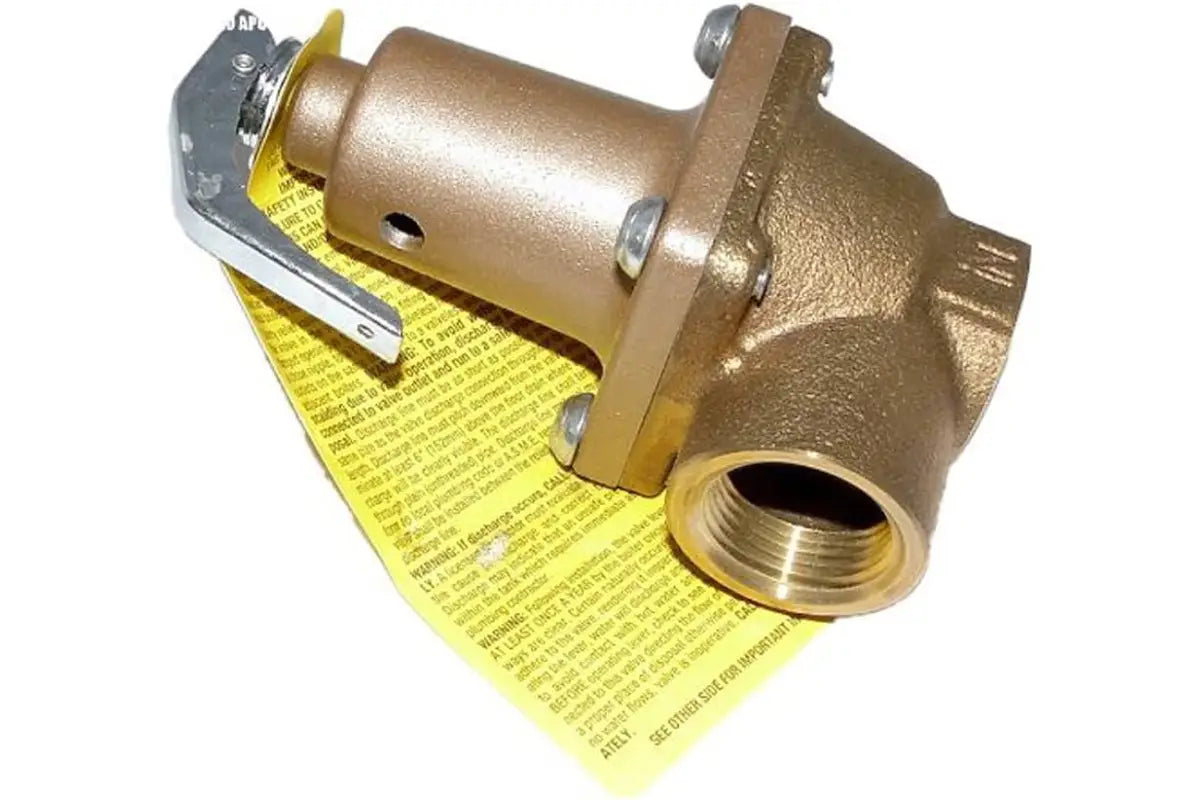 Raypak 007758F 125 PSI Pressure Relief Valve