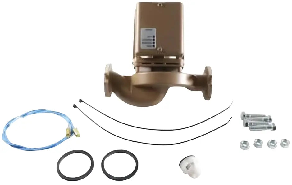 Raypak 012600F Bronze Injector Pump, 115V