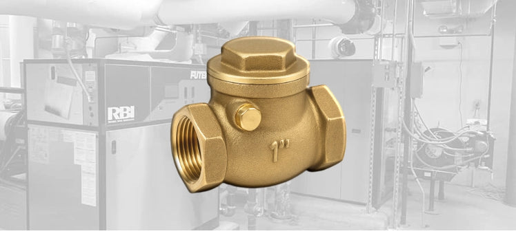 rbi-check-valves.webp