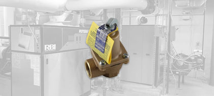 RBI Relief Valves