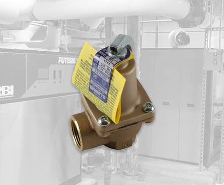 RBI Relief Valves