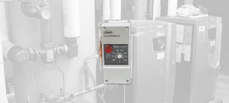 rbi-switches.jpg