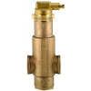 Resideo PV200 2" NPT Air Eliminator, 150# Bronze