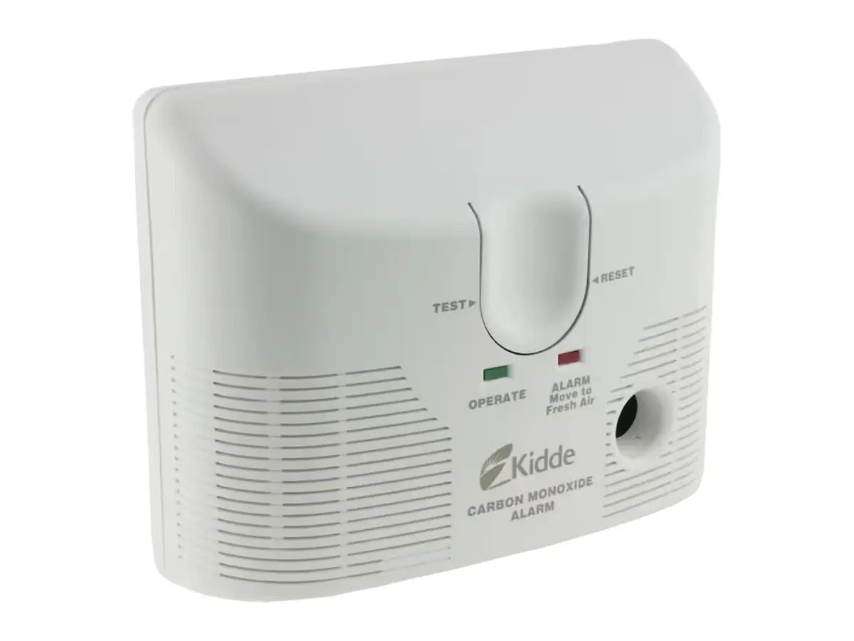 Rheem 21006137, Carbon Monoxide Alarm Ac Power