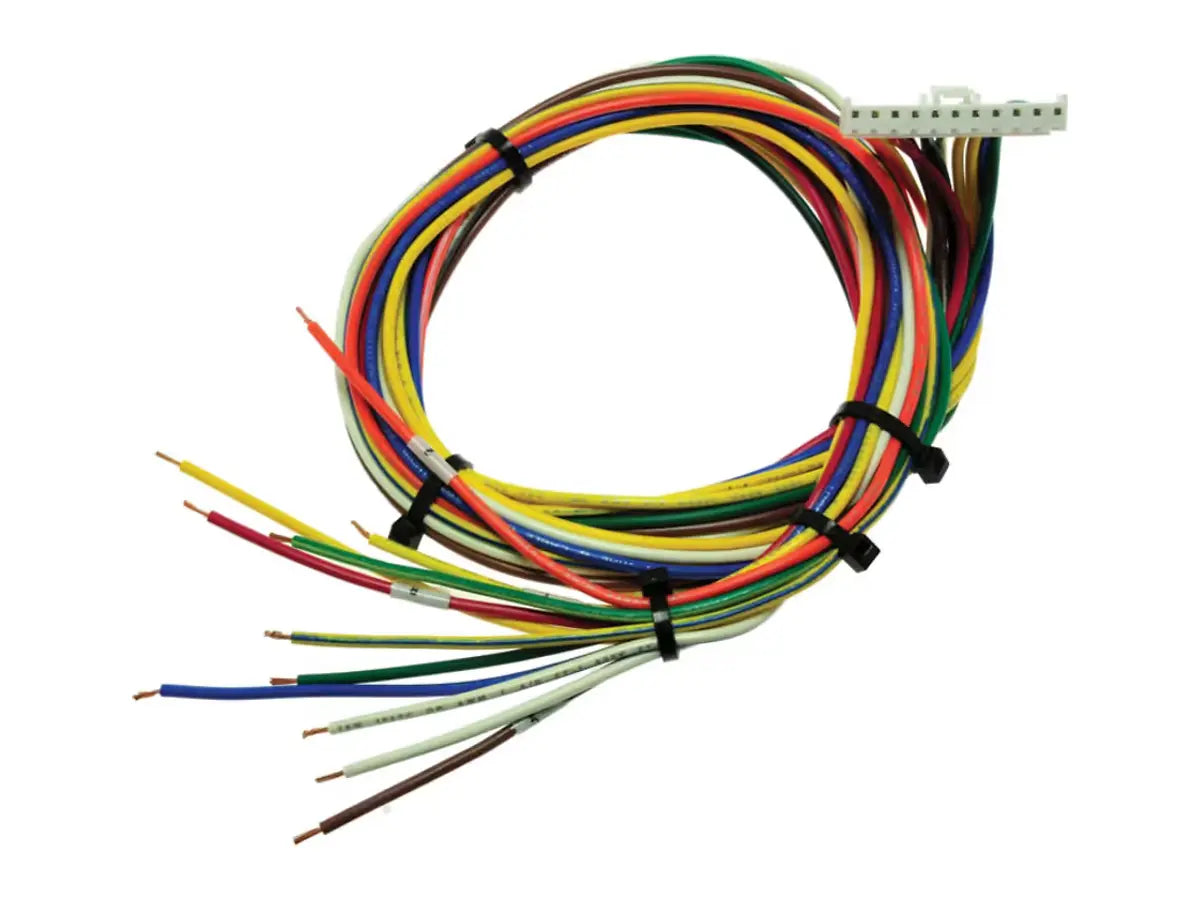 Rheem 45-101891-04, Wiring Harness